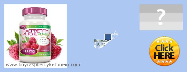 Wo kaufen Raspberry Ketone online Bermuda